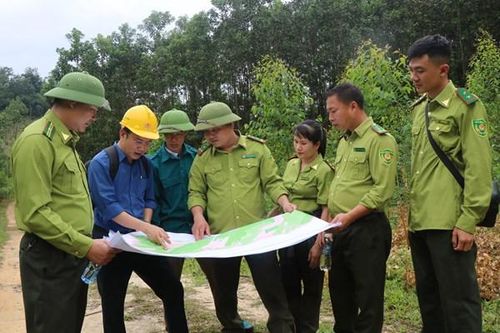 Bắc Ninh cảnh báo nguy cơ cháy rừng cấp III và IV ở nhiều xã, phường