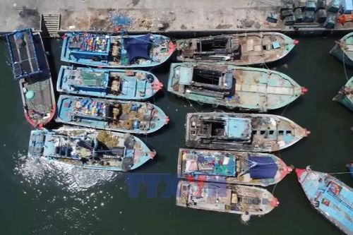 Toàn cảnh_Quyết tâm gỡ thẻ vàng IUU trong năm 2026