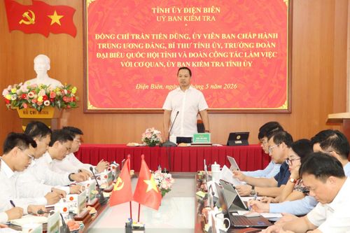 Thực hiện hiệu quả công tác kiểm tra giám sát, phòng ngừa vi phạm từ sớm, từ xa