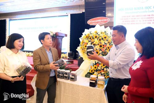 “Biến” phụ phẩm thành vật liệu carbon giá trị cao