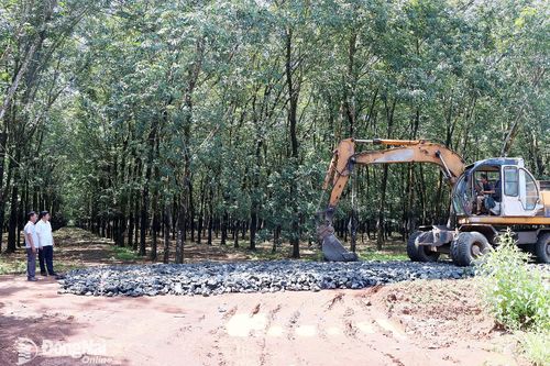 Long Hà tạo sinh kế, giữ bình yên