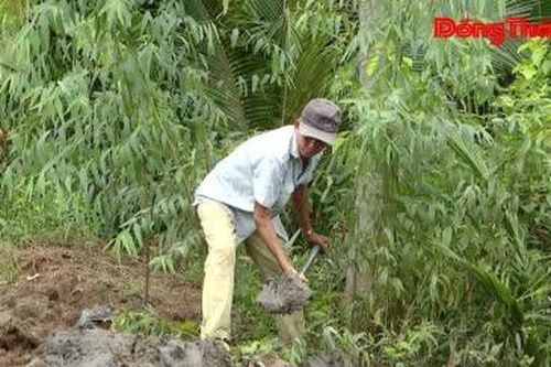 Bảo vệ vườn cây ven sông Tiền trước triều cường