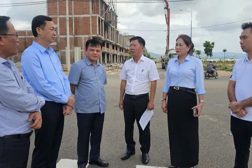 Giám sát các dự án đầu tư ngoài ngân sách tại xã Tuy Phước Tây và Canh Vinh