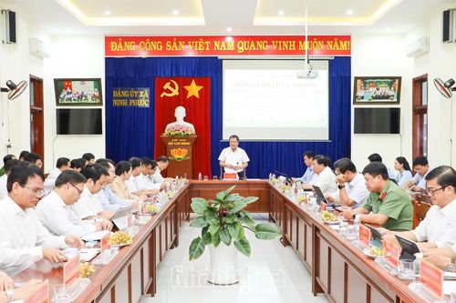 Phát huy lợi thế, tạo đà bứt phá