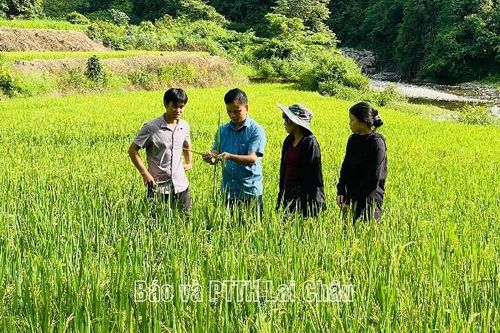 Hua Bum giảm bình quân 3-4% hộ nghèo mỗi năm