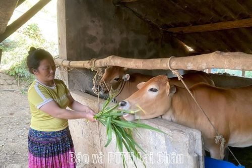 Giải ngân hơn 17 tỷ đồng vốn chương trình mục tiêu quốc gia