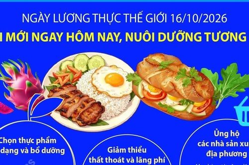 Ngày Lương thực Thế giới 16/10/2026: "Đổi mới ngay hôm nay. Nuôi dưỡng tương lai"