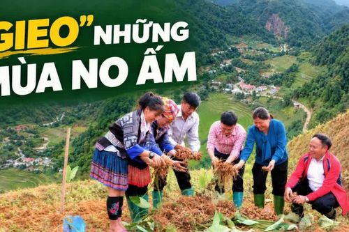 "Gieo" những mùa no ấm