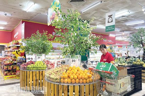 Chính phủ chỉ đạo chủ động theo dõi, phân tích và điều hành giá cả thị trường trong những tháng cuối năm 2026