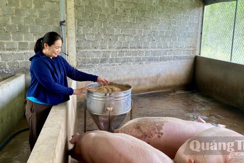 Đảm việc hội, vững kinh tế