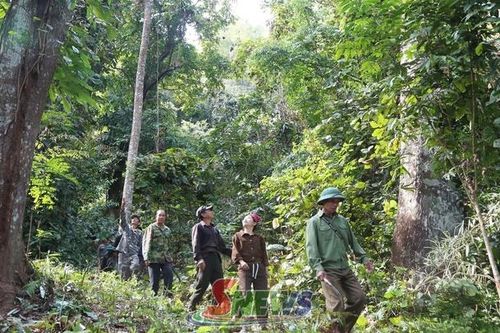 Gắn lợi ích cộng đồng với trách nhiệm giữ rừng