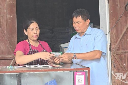 Tăng cường quản lý thuốc bảo vệ thực vật