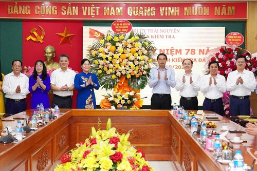 Phát huy vai trò kiểm tra, giám sát trong giai đoạn phát triển mới