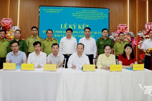 Phối hợp quản lý, bảo vệ rừng và đất lâm nghiệp