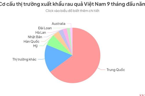 Trung Quốc đột ngột giảm mua, vì sao xuất khẩu rau quả vẫn lập kỷ lục?