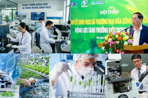 Kinh tế sinh học - 'mỏ vàng' chờ khơi thông
