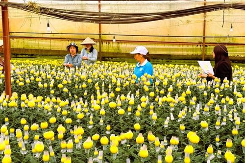 Gỡ điểm nghẽn, tái cơ cấu quỹ tín dụng nhân dân