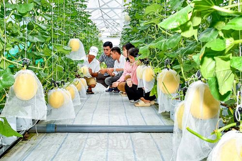Bền hành động, thấm lòng dân