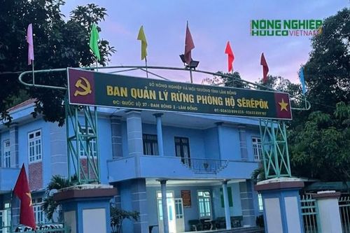 Truy tìm các đối tượng phá rừng do Ban QLRPH Sêrêpôk quản lý