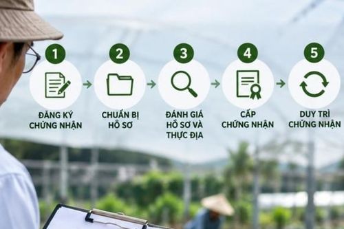 Quy trình chứng nhận hữu cơ - Bài 2: Từ đăng ký đến duy trì chứng nhận