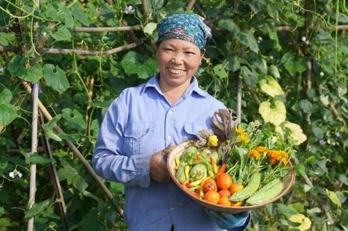 Phát huy vai trò nông dân trong xây dựng nông nghiệp sinh thái, nông thôn hiện đại