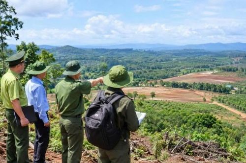 Rà soát toàn bộ diện tích đất dự án của Công ty Long Sơn