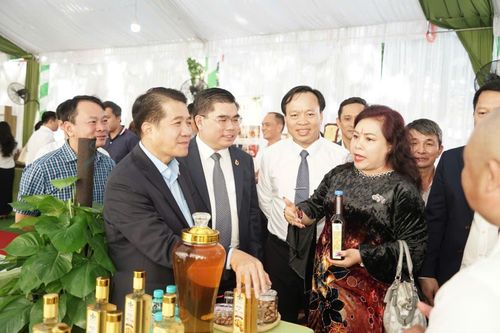 Quỹ đất đã có, làm sao để Bình Phước hút được dòng vốn đầu tư mới?