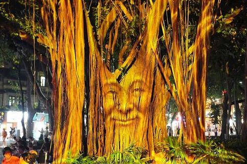 Độc đáo trình diễn 3D Mapping trên cây đa cổ bên Hồ Gươm