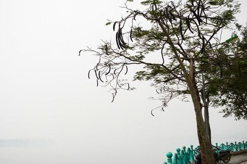 Chuyên gia nhận định thời điểm miền Bắc đón không khí lạnh