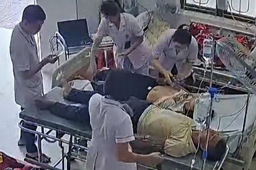 Hai vợ chồng ở Nghệ An nhập viện cấp cứu do ong đốt