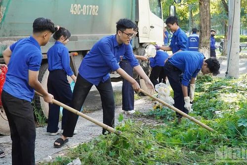 Đà Nẵng: Xử lý điểm nóng về rác, từng bước hình thành 'Bản đồ xanh'