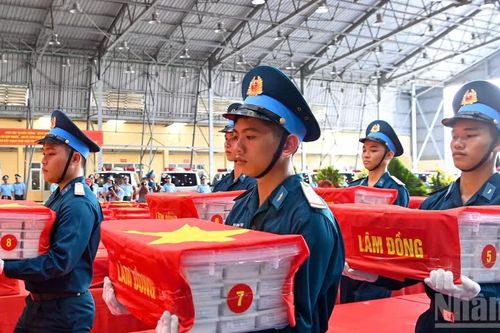 Chiến dịch 500 ngày đêm: Đã giám định ADN, trả kết quả gần 800 mẫu hài cốt liệt sĩ