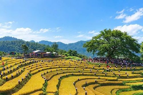 Tưng bừng Ngày hội văn hóa, thể thao các dân tộc Cao Phong