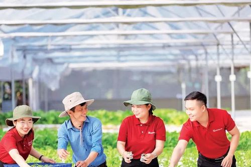 Doanh nghiệp lớn vốn phải dài