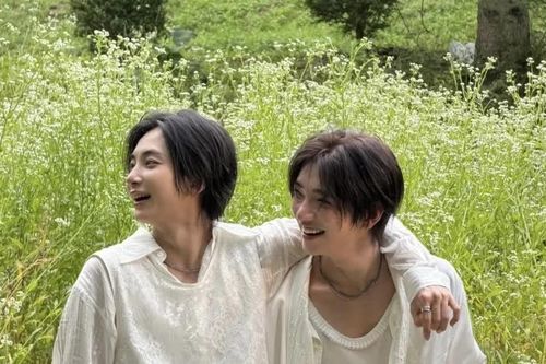 'Bộ đôi bạch nguyệt quang' của SEVENTEEN mở rộng sự hiện diện toàn cầu