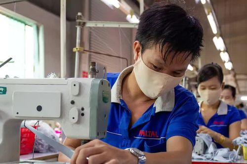 Gian lận bảo hiểm xã hội: Không chỉ xử lý người trục lợi