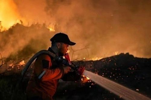 Singapore cân nhắc xử lý pháp lý doanh nghiệp liên quan cháy rừng Indonesia