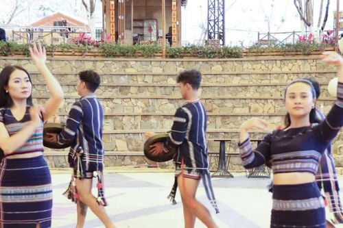 Festival Âm nhạc quốc tế Lang Biang 2026 sẽ diễn ra từ ngày 13-15/11 tại Đà Lạt