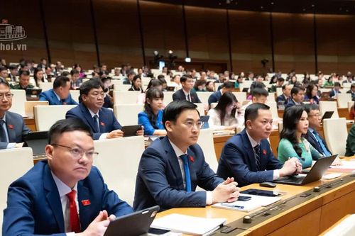 Quốc hội giám sát việc giải quyết kiến nghị của cử tri gửi đến Kỳ họp thứ Nhất: Tỷ lệ trả lời đạt 99,9%
