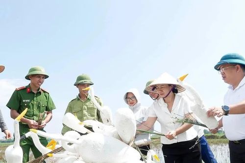 Làm nhà cho chim trời