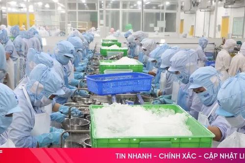 Hà Tĩnh từng bước hình thành, vận hành hệ sinh thái tận dụng các hiệp định thương mại tự do