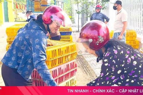 Đồng Tiến hỗ trợ sinh kế, tạo động lực giảm nghèo bền vững
