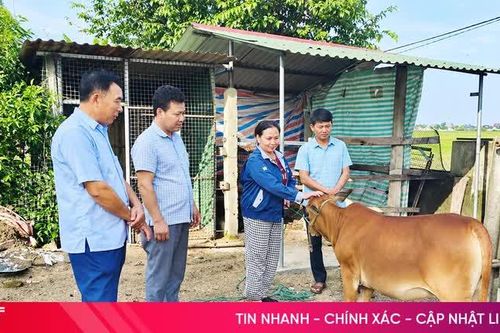 Tiếp thêm niềm tin, động lực cho người nghèo ở Mai Phụ
