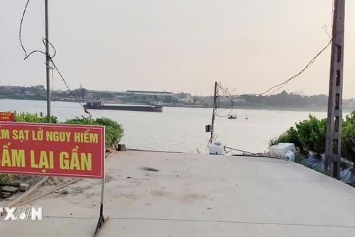 Hưng Yên: Sạt lở bờ sông Hồng sát công trường thi công cầu Mễ Sở