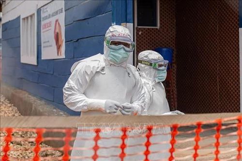 WHO nâng mức độ sẵn sàng ứng phó dịch bệnh Ebola tại 22 quốc gia trên ba châu lục