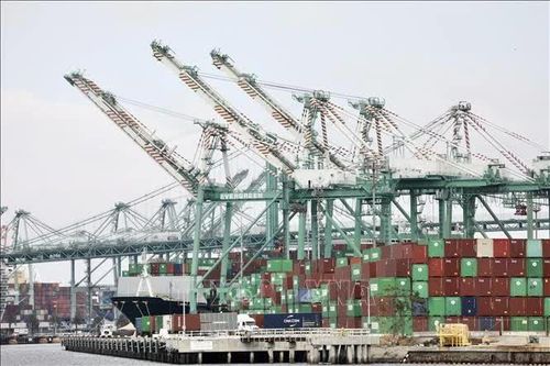 Giá nhập khẩu tại Mỹ tăng mạnh nhất trong hơn 4 năm qua