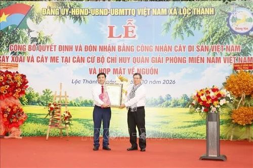 Đồng Nai: Công bố quyết định công nhận Cây Di sản Việt Nam