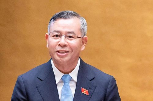 'Doanh nghiệp một người' không bắt buộc phải có Chủ tịch, Kế toán trưởng