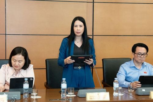 Đại biểu Quốc hội Trần Lan Phương: Cần hỗ trợ doanh nghiệp nhỏ và vừa phát triển thực chất