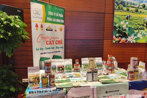 Doanh nghiệp chủ động bảo vệ thương hiệu trước nạn phân bón giả